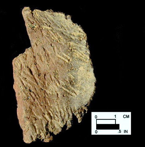 Dames Quarter interior surface of body sherd from a Maryland unprovenienced site.